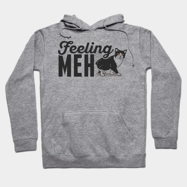 Cute & Funny Feeling Meh Kitty Adorable Cat Hoodie by theperfectpresents